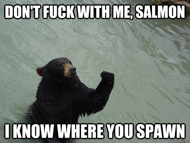 Don't fuck with me, Salmon I know where you spawn  Vengeful Bear