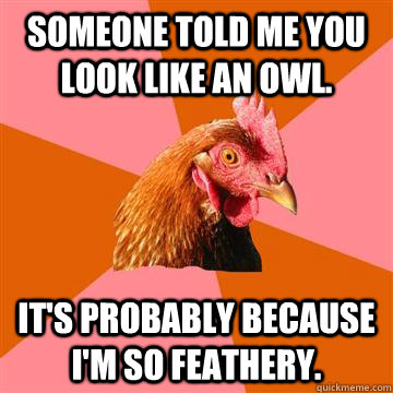 Someone told me you look like an owl. It's probably because I'm so feathery. - Someone told me you look like an owl. It's probably because I'm so feathery.  Anti-Joke Chicken