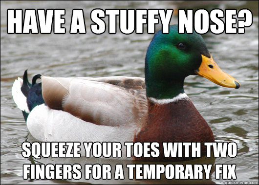 Have a stuffy nose? squeeze your toes with two fingers for a temporary fix  Actual Advice Mallard