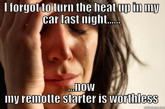I FORGOT TO TURN THE HEAT UP IN MY CAR LAST NIGHT...... ...NOW MY REMOTTE STARTER IS WORTHLESS First World Problems