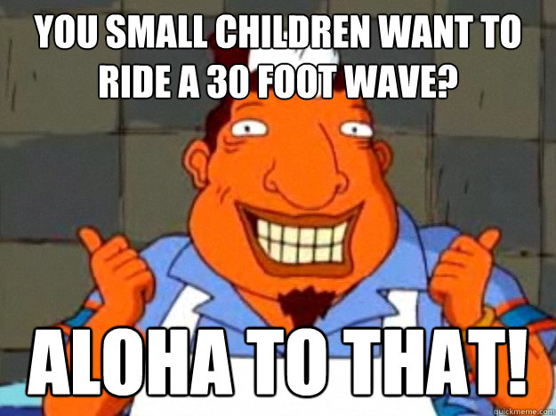 you small children want to ride a 30 foot wave? aloha to that!  