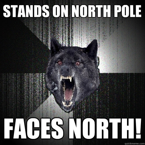 Stands on north pole FACES NORTH!  Insanity Wolf