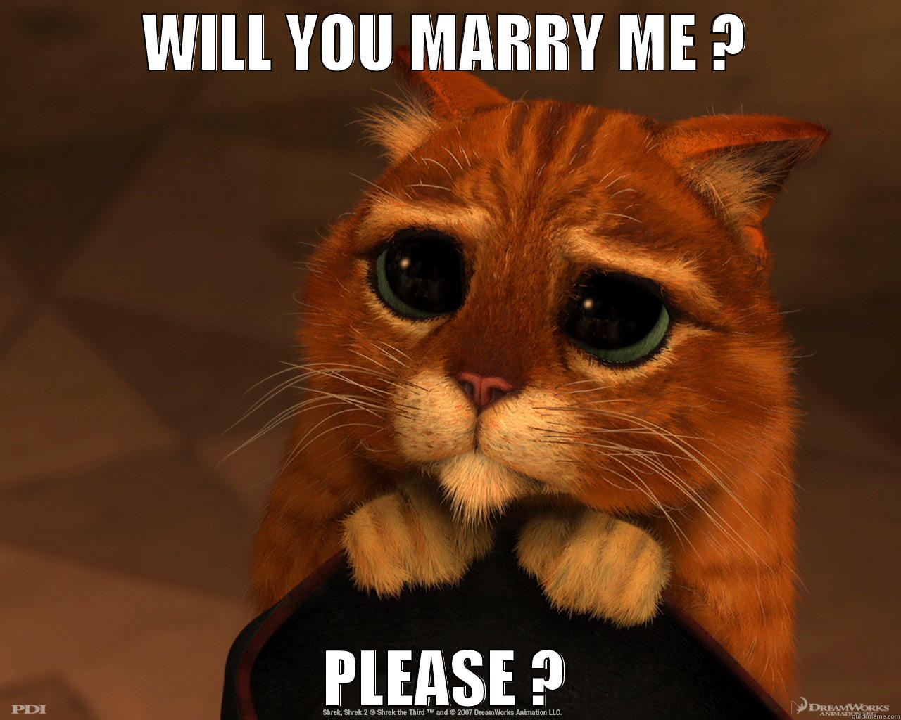 WILL YOU MARRY ME ? PLEASE ? Misc