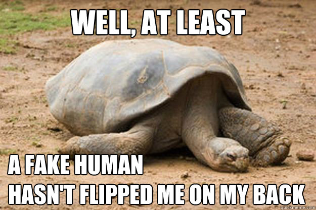 well, at least a fake human 
hasn't flipped me on my bACK  Depression Turtle