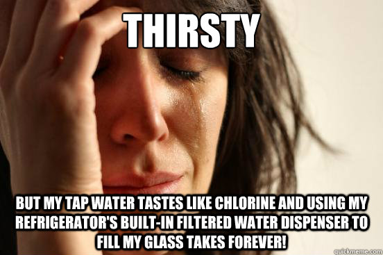 Thirsty but my tap water tastes like chlorine and using my refrigerator's built-in filtered water dispenser to fill my glass takes forever!  First World Problems