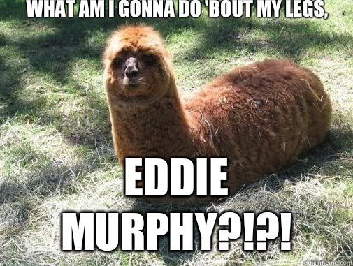 What am I gonna do 'bout my legs, Eddie murphy?!?!  Alpacapillar
