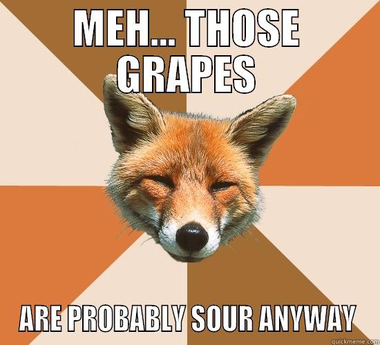 MEH... THOSE GRAPES ARE PROBABLY SOUR ANYWAY Condescending Fox