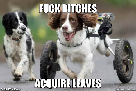 Fuck Bitches Acquire leaves - Fuck Bitches Acquire leaves  Misc