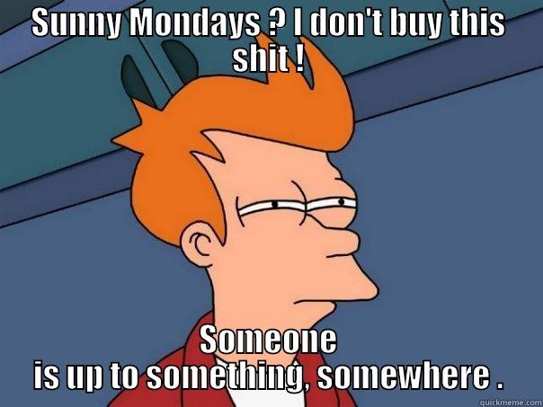 SUNNY MONDAYS ? I DON'T BUY THIS SHIT ! SOMEONE IS UP TO SOMETHING, SOMEWHERE . Futurama Fry