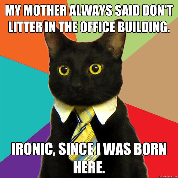 My mother always said don't litter in the office building. Ironic, since I was born here.  Business Cat