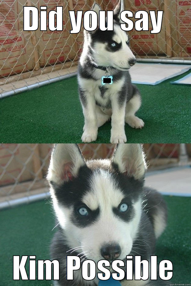 DID YOU SAY KIM POSSIBLE Insanity puppy