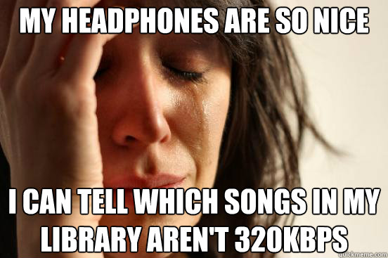 My headphones are so nice i can tell which songs in my library aren't 320kbps  First World Problems