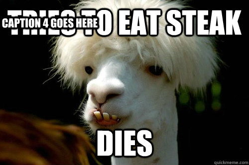 tries to eat steak dies Caption 3 goes here Caption 4 goes here  