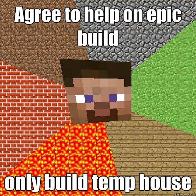 Agree to help on epic build only build temp house  Minecraft