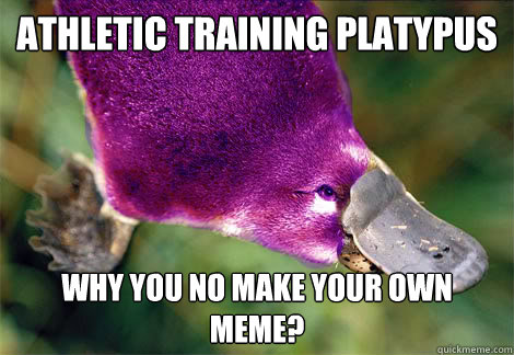 Athletic Training Platypus Why you no make your own meme? - Athletic Training Platypus Why you no make your own meme?  Athletic Training Platypus