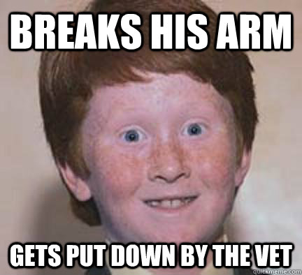 breaks his arm gets put down by the vet  Over Confident Ginger