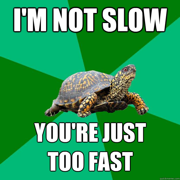 I'm not slow You're just 
too fast  Torrenting Turtle