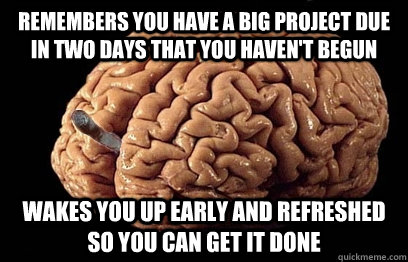 Remembers you have a big project due in two days that you haven't begun Wakes you up early and refreshed so you can get it done  Good Guy Brain