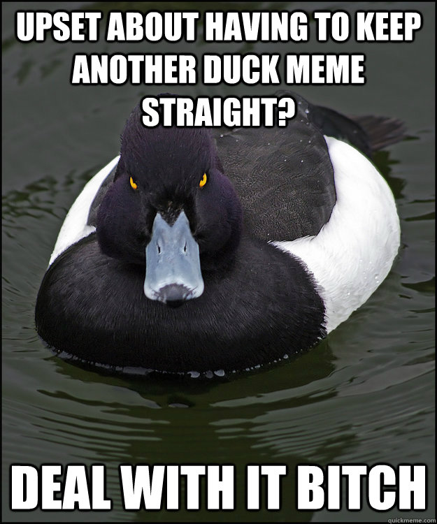 upset about having to keep another duck meme straight? deal with it bitch  Angry Advice Duck