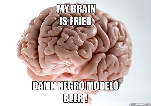  my brain
Is fried Damn Negro Modelo
beer !  Scumbag Brain