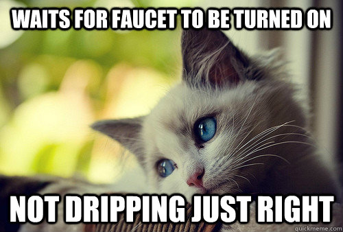 Waits for faucet to be turned on not dripping just right  First World Problems Cat