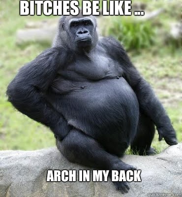 Bitches Be Like ... Arch In My Back - Bitches Be Like ... Arch In My Back  Hairy Gorillas