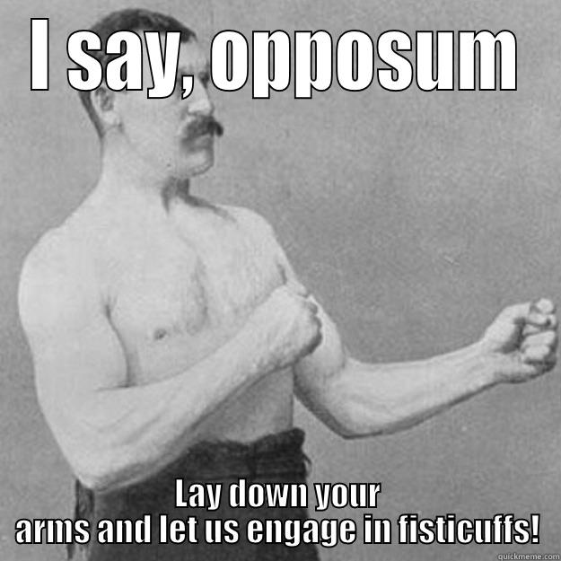 I SAY, OPPOSUM LAY DOWN YOUR ARMS AND LET US ENGAGE IN FISTICUFFS! overly manly man