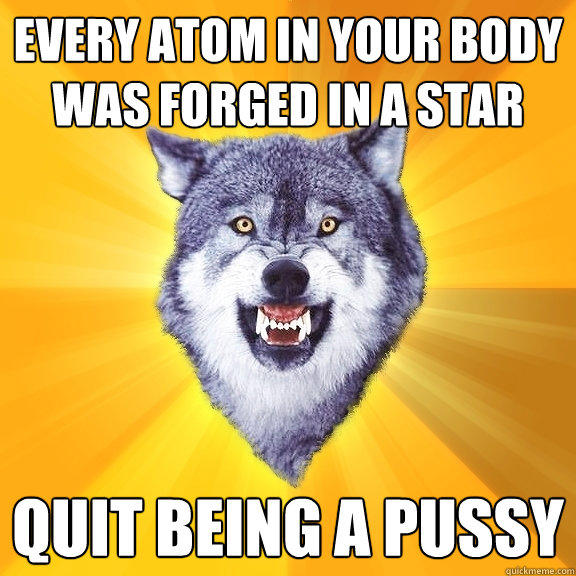 every atom in your body was forged in a star quit being a pussy  