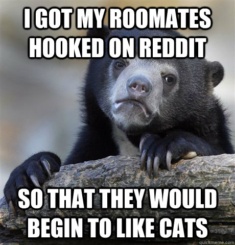 I got my roomates hooked on reddit so that they would begin to like cats  Confession Bear