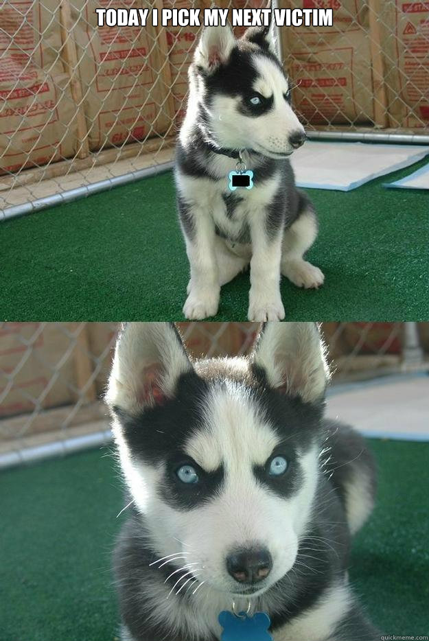 Today I pick my next victim   Insanity puppy