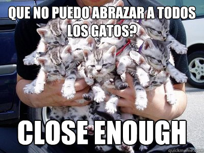 que no puedo abrazar a todos los gatos? close enough  So many cats