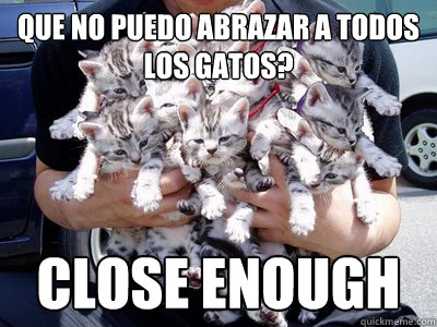 que no puedo abrazar a todos los gatos? close enough  