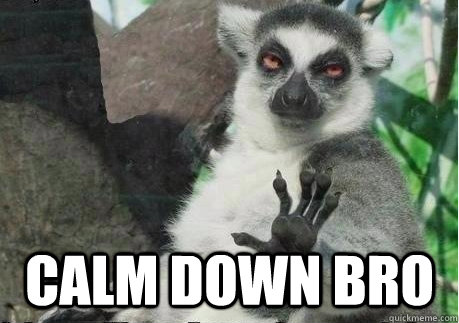  Calm down bro -  Calm down bro  Too High Lemur