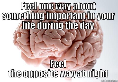 FEEL ONE WAY ABOUT SOMETHING IMPORTANT IN YOUR LIFE DURING THE DAY FEEL THE OPPOSITE WAY AT NIGHT Scumbag Brain