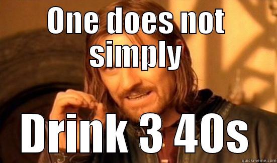 ONE DOES NOT SIMPLY DRINK 3 40S Boromir