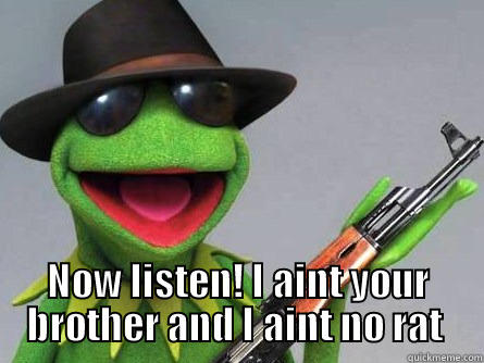 Gangster kermit -  NOW LISTEN! I AINT YOUR BROTHER AND I AINT NO RAT  Misc