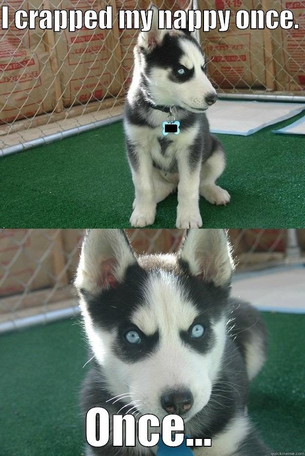 I CRAPPED MY NAPPY ONCE.  ONCE... Insanity puppy