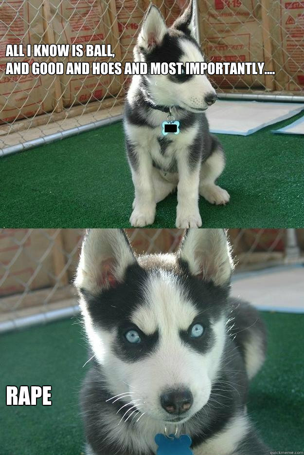 All I know is ball,
and good and hoes and most importantly.... Rape  Insanity puppy