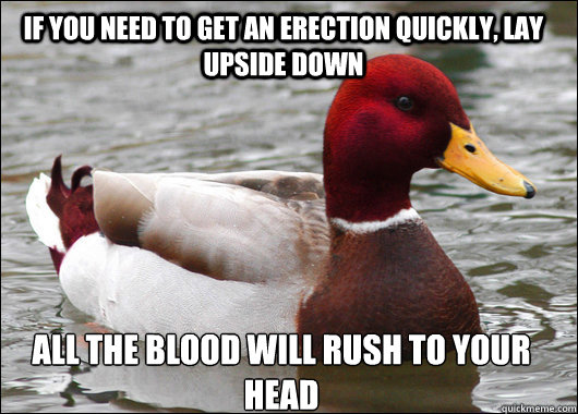 If you need to get an erection quickly, lay upside down all the blood will rush to your head  Malicious Advice Mallard