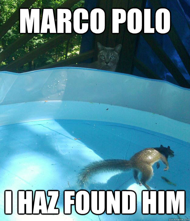 Marco Polo I haz found him - Marco Polo I haz found him  i haz found him
