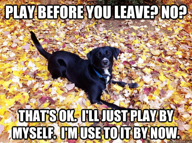 play before you leave? no? that's ok.  i'll just play by myself.  i'm use to it by now.  Guilt Giving Good Dog