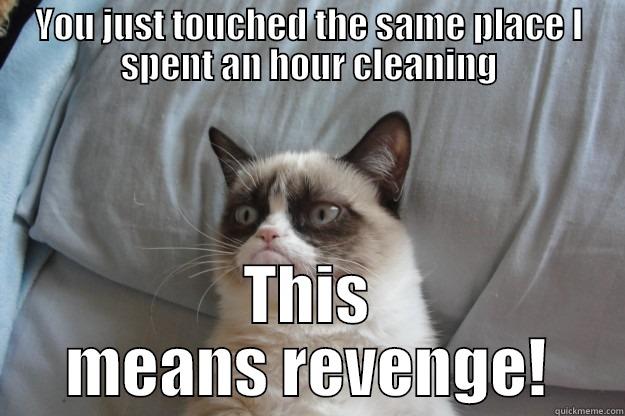 YOU JUST TOUCHED THE SAME PLACE I SPENT AN HOUR CLEANING THIS MEANS REVENGE! Grumpy Cat