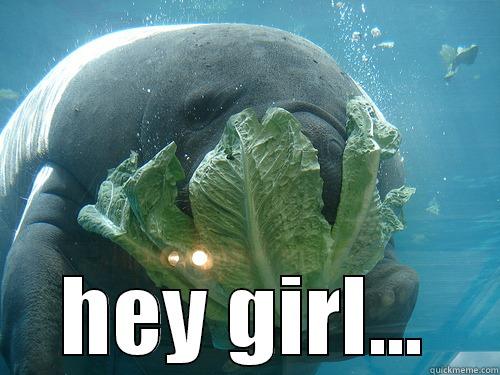  HEY GIRL... Misc