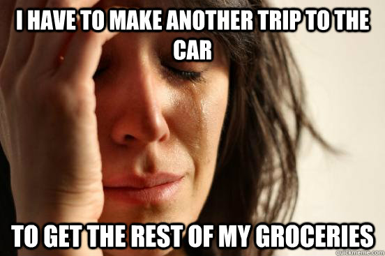 i HAVE TO MAKE ANOTHER TRIP TO THE CAR TO GET THE REST OF MY GROCERIES  First World Problems