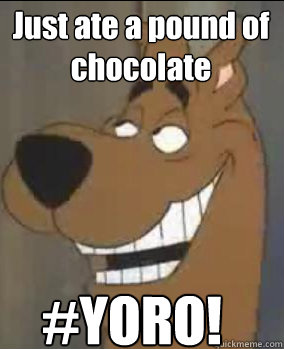 Just ate a pound of chocolate  #YORO! - Just ate a pound of chocolate  #YORO!  scooby doo you mad bro