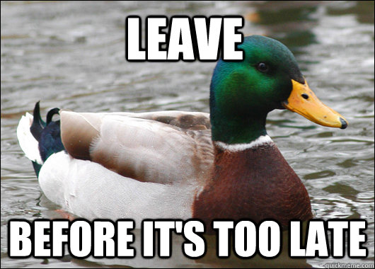 leave before it's too late  Actual Advice Mallard