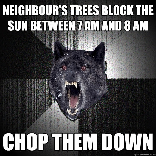 neighbour's trees block the sun between 7 am and 8 am chop them down  Insanity Wolf