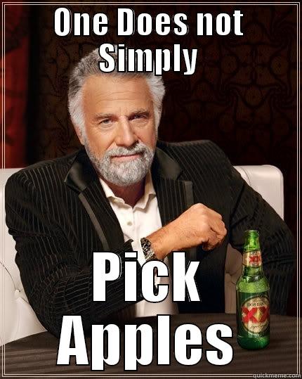 ONE DOES NOT SIMPLY PICK APPLES The Most Interesting Man In The World