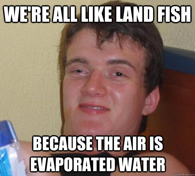 We're all like land fish because the air is evaporated water  10 Guy
