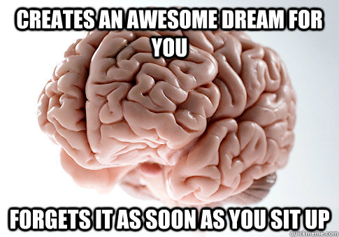 Creates an awesome dream for you Forgets it as soon as you sit up  Scumbag Brain